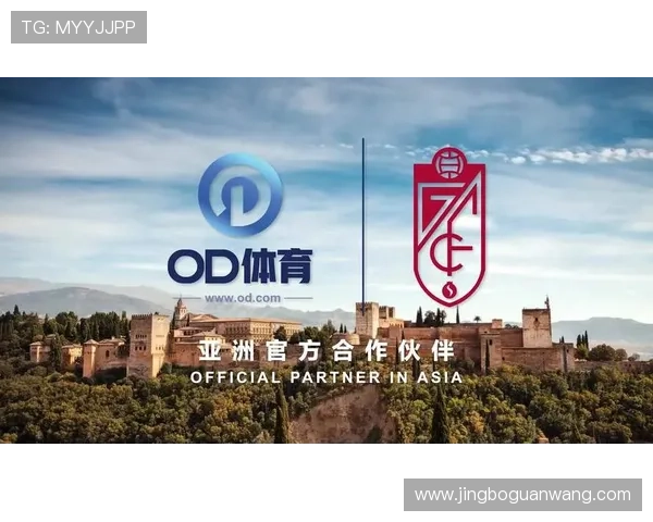 全面解析OD体育平台开户步骤及常见问题解决方案